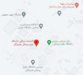 google map image